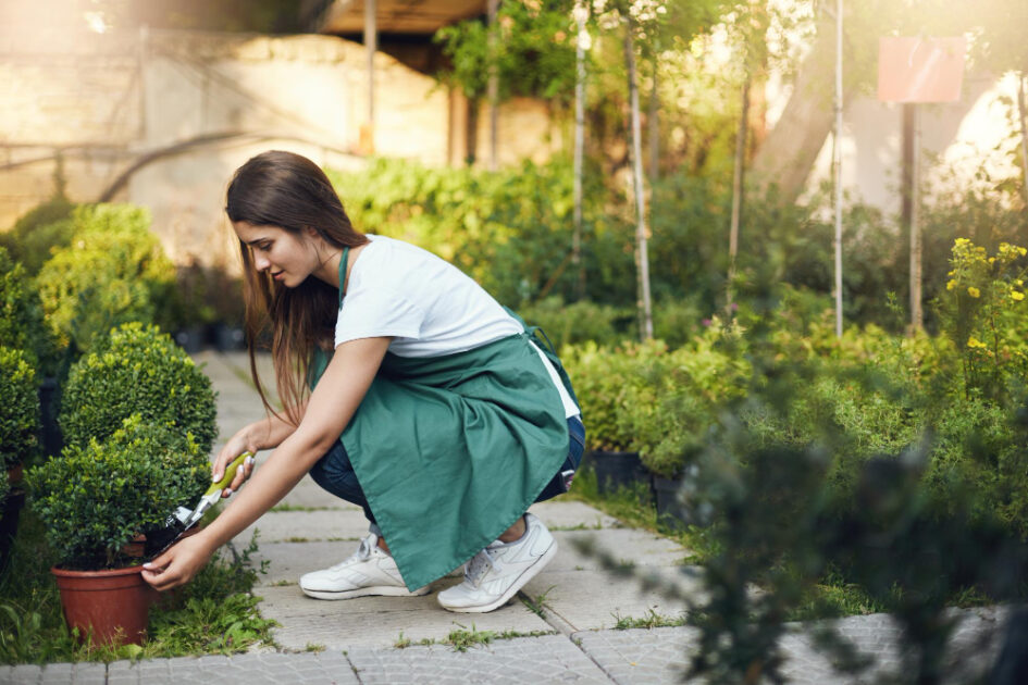 gardening and mental health