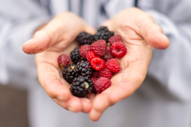 Different types of berries 