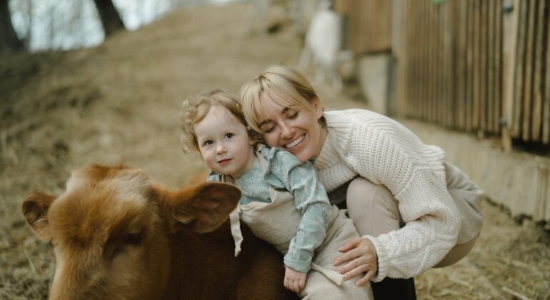 cow hugging therapy