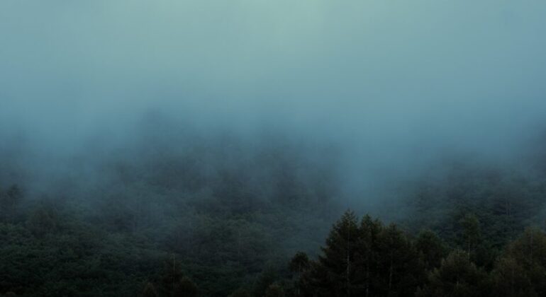 Persecutory Delusions In Schizophrenia