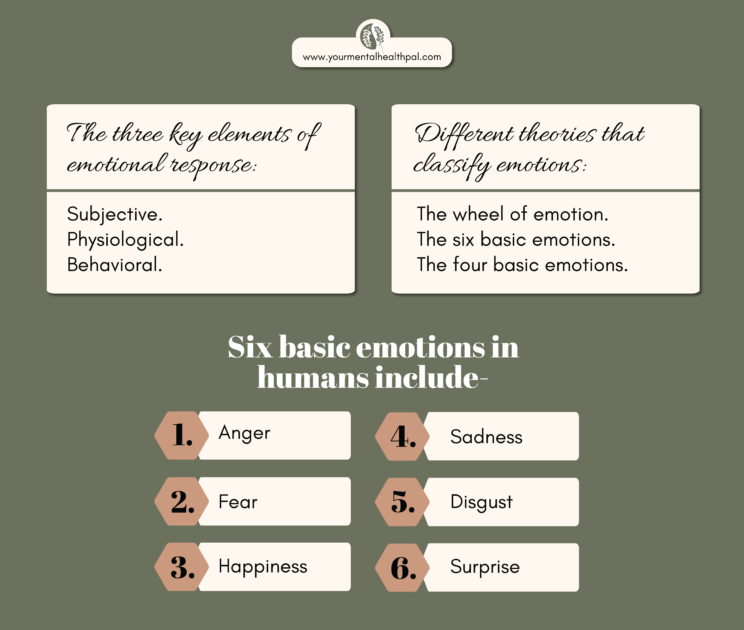 The 6 basic emotions of Ekman