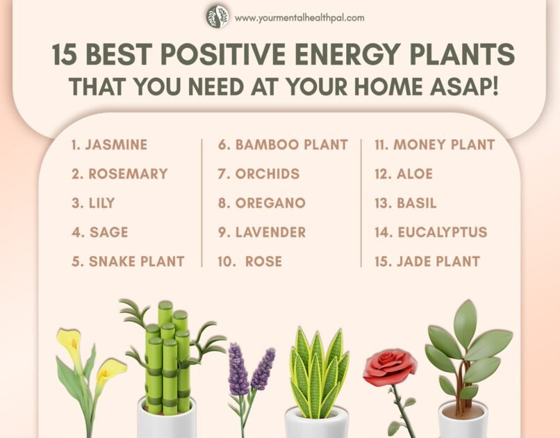 Indoor Plants For Positive Energy
